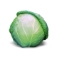 Насіння білоголової капусти (30)
